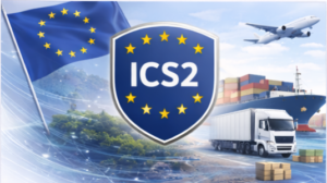EU Import Control System 2 Services